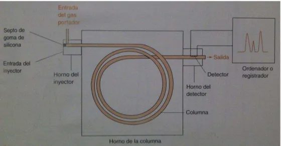 Figura 1. Diagrama esquemático de un cromatógrafo de gases.  Fuente: Harris, 2007.