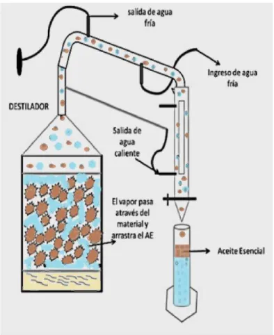 Figura 10. Explicación gráfica del funcionamiento de un destilador. 