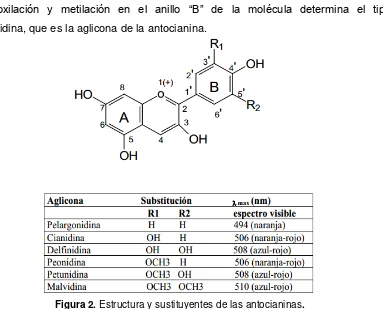Figura 2. Estructura y sustituyentes de las antocianinas    . Fuente: Quintero, C. 2004 