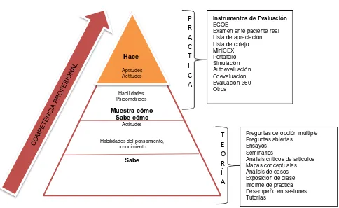 Figura 1 Piramide de Miller  Fuente: (Montiel Durante, Martinez Gonzales, & otros, 2011)  