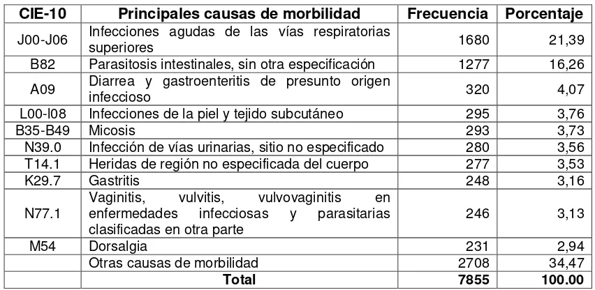 Tabla 10. Principales causas de morbilidad del cantón Yacuambi del año 2012.