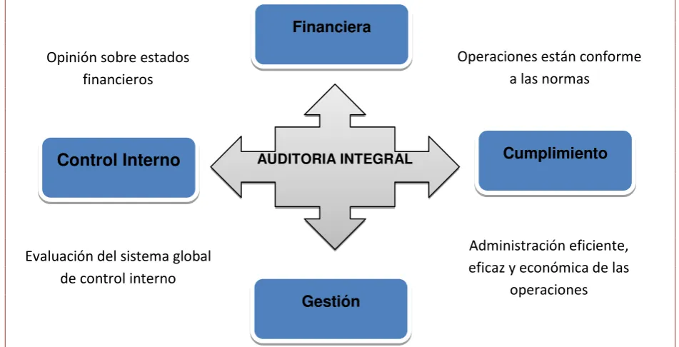 Figura Nro. 5  Enfoque de la auditoría integral 