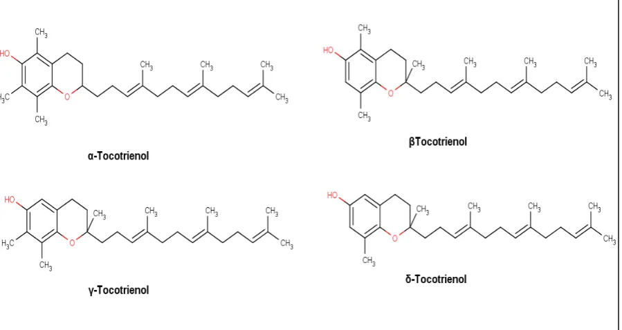 Fig. 1.3. Estructuras moleculares de los Tocotrienoles Fuente: Watson, Preedy ,2007  