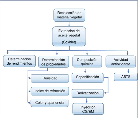 Fig. 1.8. Esquema general de procedimiento Fuente: La Autora 