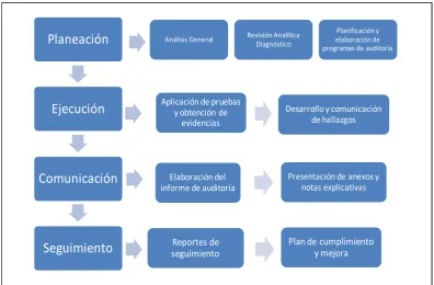 Figura 2: Proceso de la Auditoría Integral 