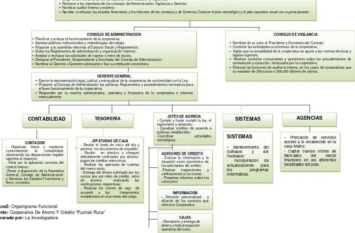 Figura5: Organigrama Funcional 