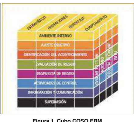 Figura 1. Cubo COSO ERM 