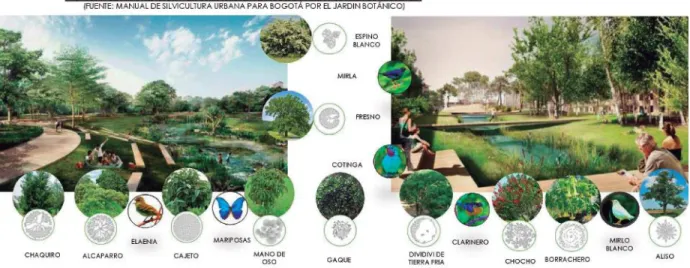 Figura 9. Propuesta arborización y fauna 1  Fuente: Elaboración grupal 2018 