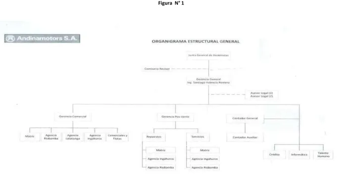 Figura  N° 1 