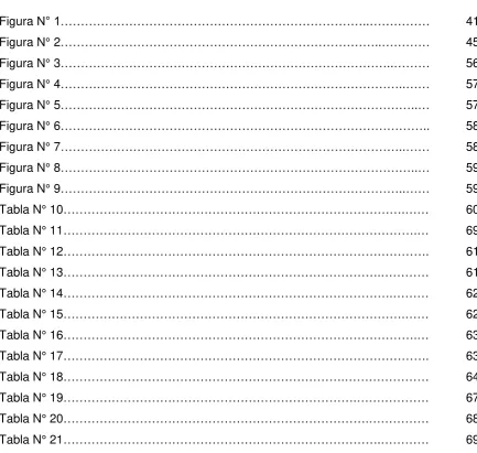 Figura N° 1…………………………………………………………………..…………… 