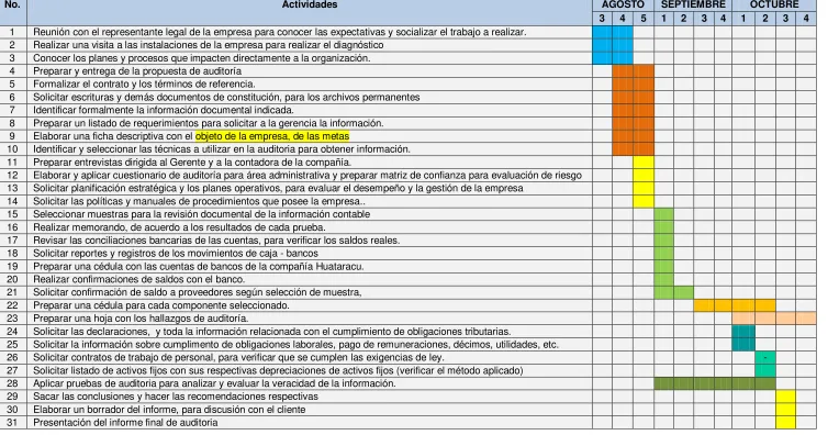 Tabla No. 10* cronograma de Actividades 