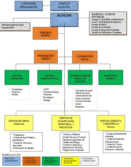 Figura 1. Estructura orgánica por procesos específica 