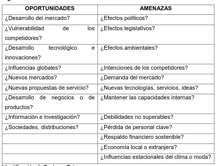 Figura N° 5  