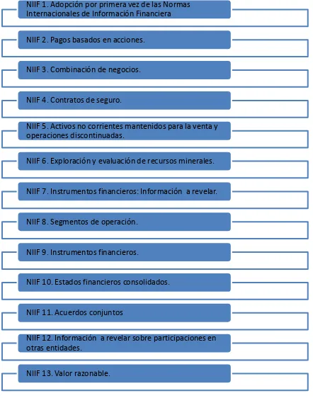 Figura 3 Normas Internacionales de Información Financiera 