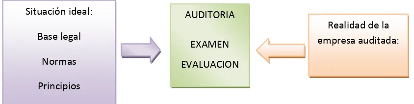 Figura 5: Auditoria financiera resumen. 