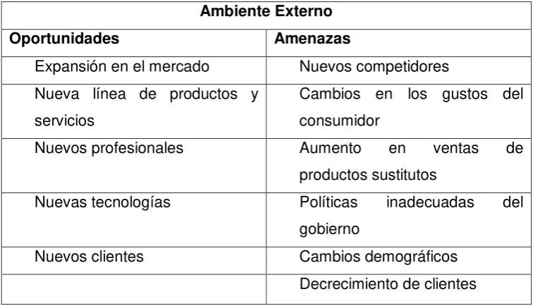 Tabla 4 Análisis del Ambiente Externo 