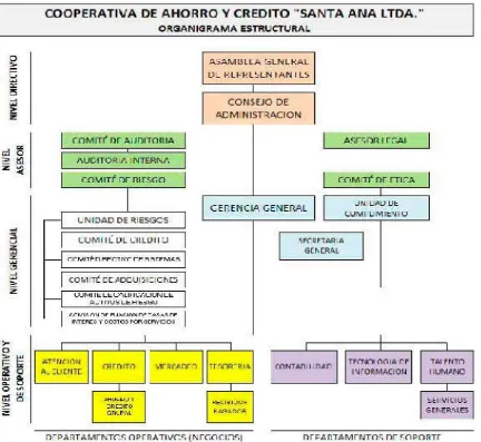 Figura 1. Organigrama estructural de la Cooperativa de Ahorro y Crédito Santa Ana Ltda