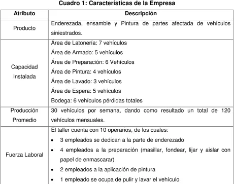 Cuadro 1: Características de la Empresa 