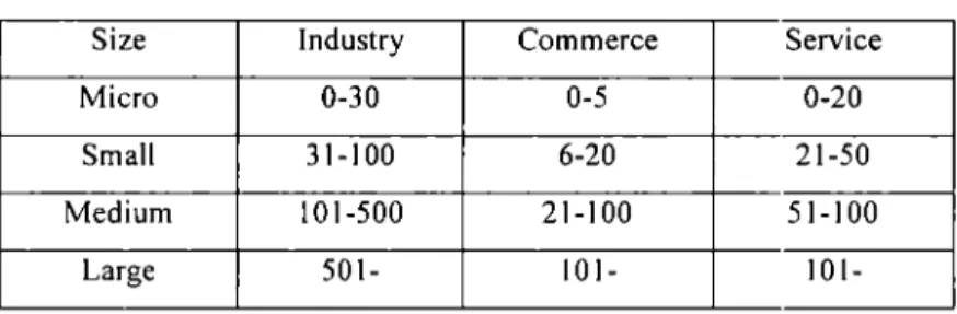 Table  1.  Enterprise stratification, Economic Census,  IN::'.GI  1999 