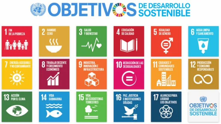 Figura 4. Objetivos de Desarrollo Sostenible. 
