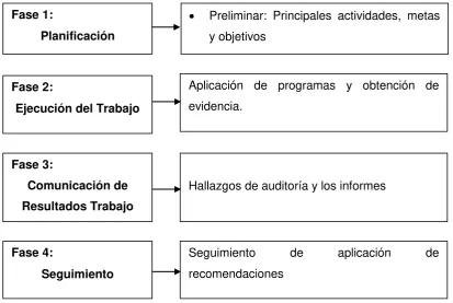 Figura 2. Proceso  de la Auditoría. 