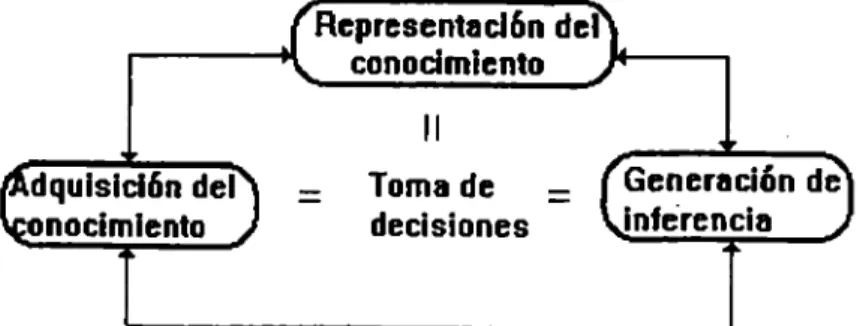 Figura 5:  Componentes de  los  SBC 