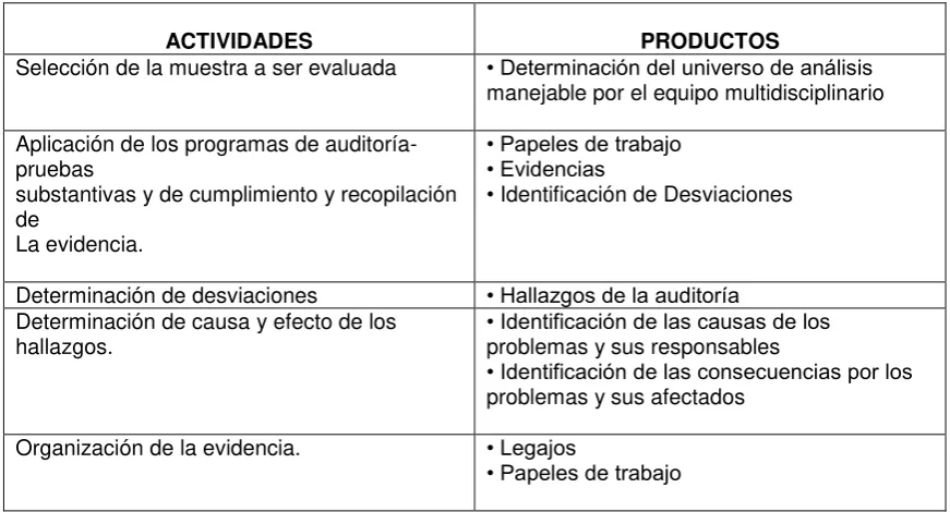 Tabla 6.  Diagnóstico de la fase de ejecución 