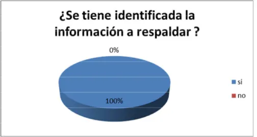 Figura 7. Encuesta para levantamiento de información en la actividad de backup. 