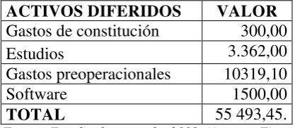 Cuadro Nº 5 Activos diferidos 