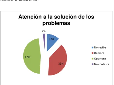 Figura 11: Atención a la solución de problemas   