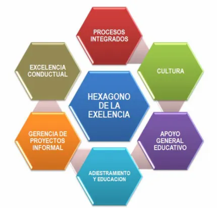 Figura 4. El hexágono de la excelencia. 