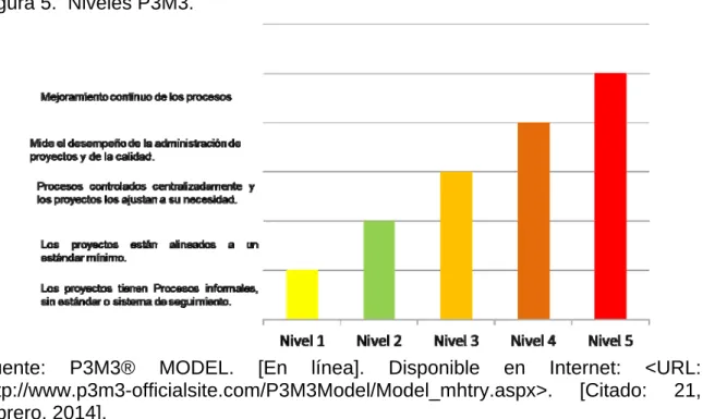 Figura 5.  Niveles P3M3. 