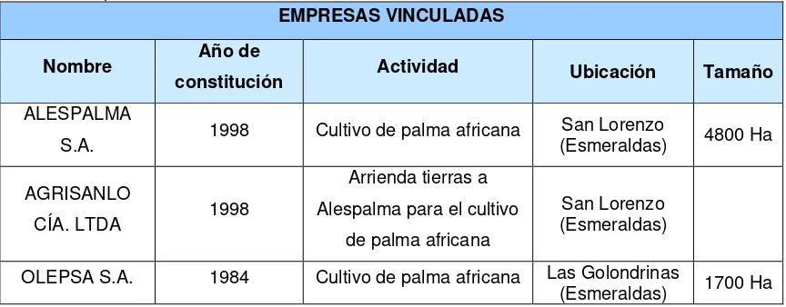 Tabla 9: Empresas vinculadas 