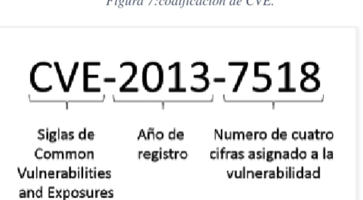 Figura 7:codificación de CVE. 