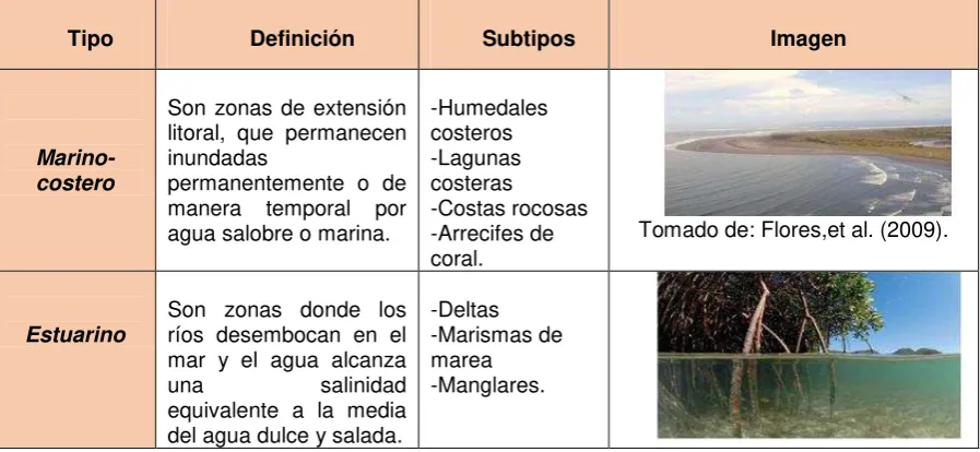 Tabla 1. 1. Tipos de humedales, según Ramsar. 