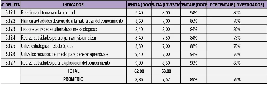 Figura N° 11 