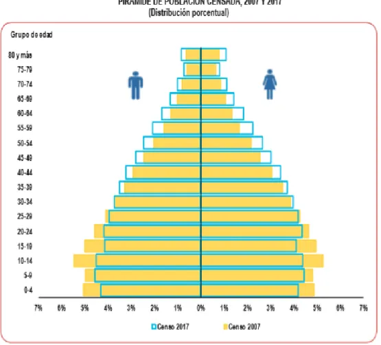 Figura 12. Pirámide de Población Censada 2007 y 2017 