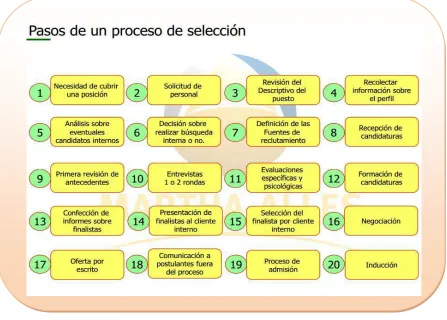 Figura 5.    Pasos de un proceso de selección. 