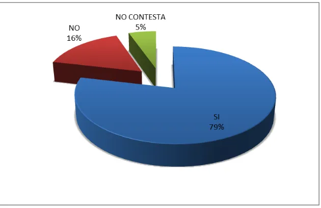 tabla Nº 16). 