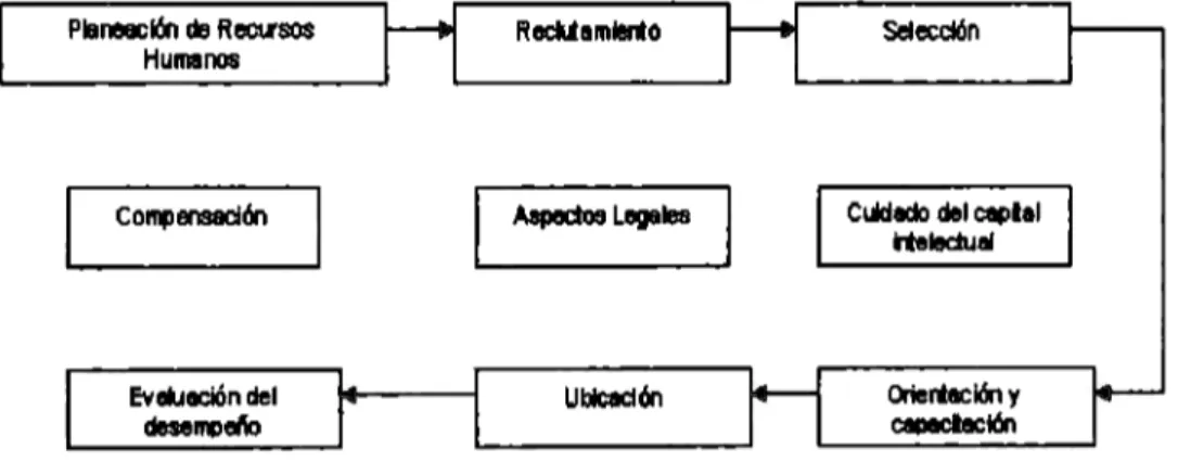 Figura 2.  Elementos de la gestión de Recursos Humanos  Elaboración propia 