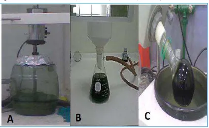 Figura 5. Obtención del extracto A) Maceración B) Filtración C) Rota evaporación 