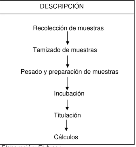 Cuadro 3. Proceso de flujo para el método Basal en el laboratorio 