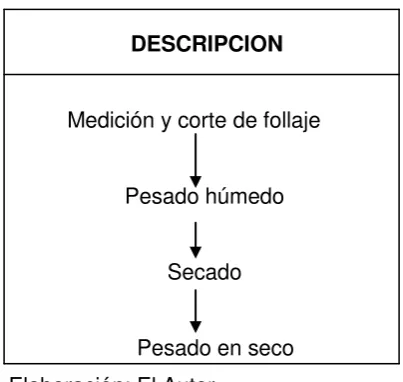 Cuadro 5.  Proceso de flujo para el método de cosecha  