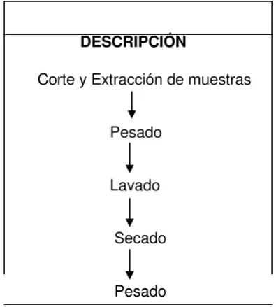 Cuadro 6. Proceso de flujo para el método de cilindro y cosecha 