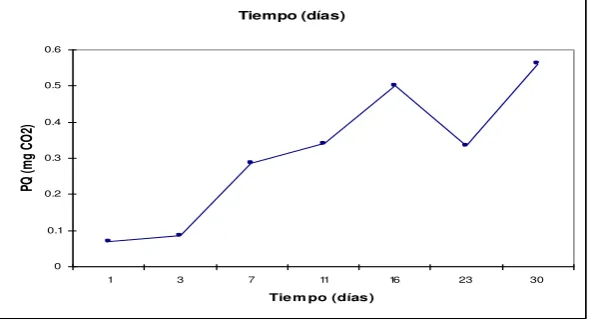 Fig.10  Evolución de CO2  en PQ 