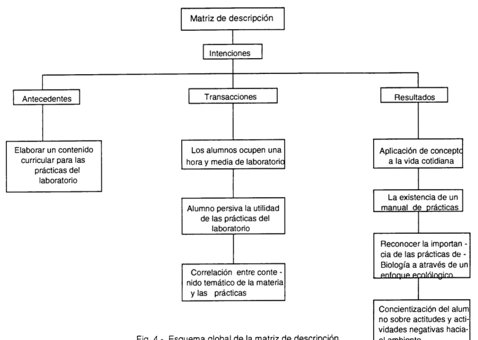 Fig.  4.- Esquema global de la matriz de descripción. 