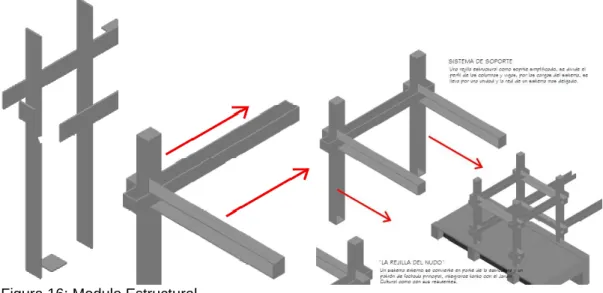 Figura 16: Modulo Estructural. 
