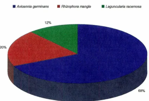 Figura 12. Porcentajes por especie, de los componentes de la fitomasa  aérea presente en  el  Estero del Soldado