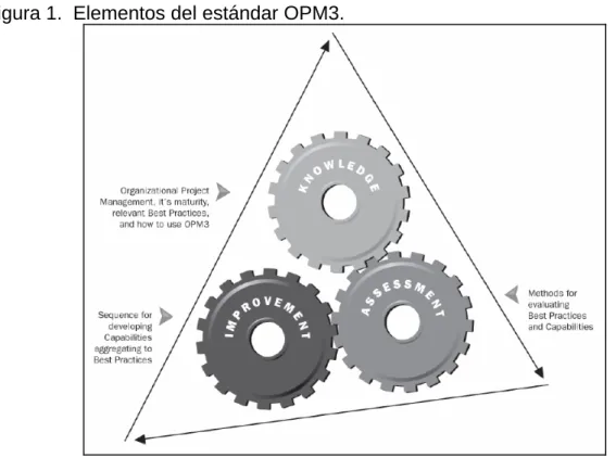 Figura 1.  Elementos del estándar OPM3. 