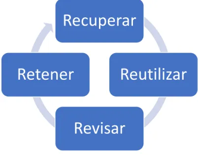 Figura 5 Ciclo de vida RBC 